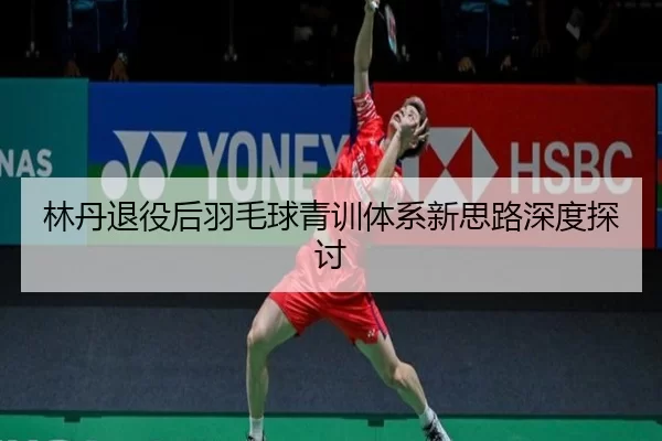 林丹退役后羽毛球青训体系新思路深度探讨